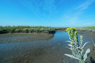 BUITEN BEELD Foto: 218038