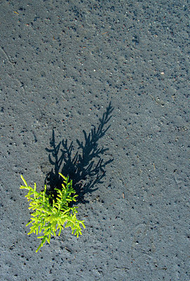 BUITEN BEELD Foto: 218094
