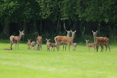 BUITEN BEELD Foto: 218122