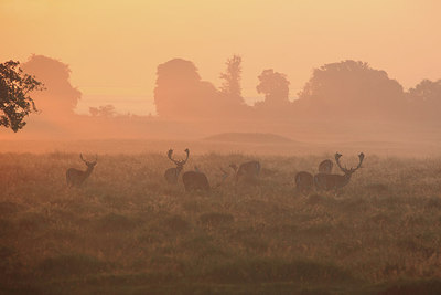 BUITEN BEELD Foto: 218171