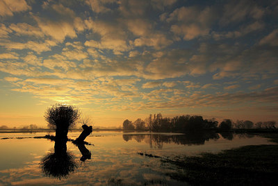 BUITEN BEELD Foto: 218178