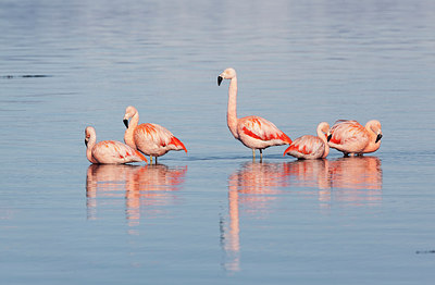 BUITEN BEELD Foto: 218179