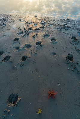 BUITEN BEELD Foto: 218211