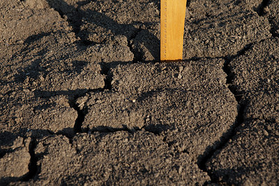 BUITEN BEELD Foto: 218300