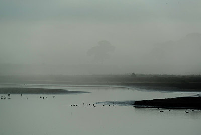 BUITEN BEELD Foto: 218324