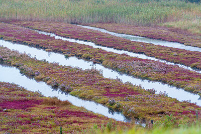 BUITEN BEELD Foto: 218330