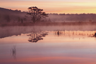 BUITEN BEELD Foto: 218354