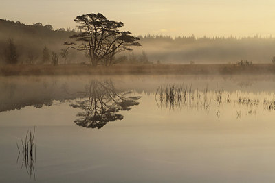BUITEN BEELD Foto: 218355