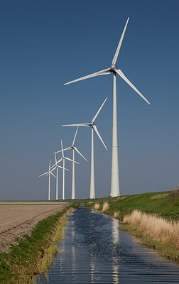 BUITEN BEELD Foto: 218367