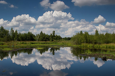 BUITEN BEELD Foto: 218396