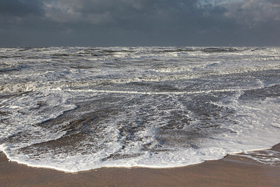 BUITEN BEELD Foto: 218398