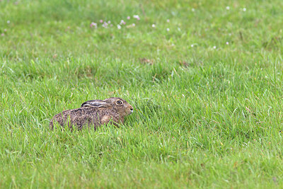 BUITEN BEELD Foto: 218418