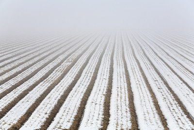 BUITEN BEELD Foto: 218532