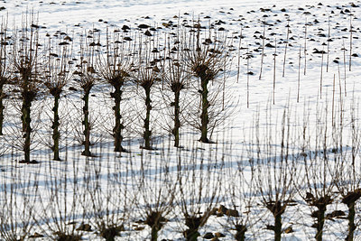 BUITEN BEELD Foto: 218536