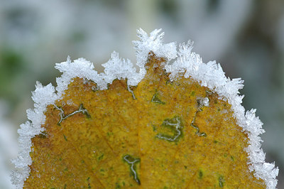 BUITEN BEELD Foto: 218543