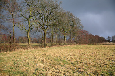 BUITEN BEELD Foto: 218557
