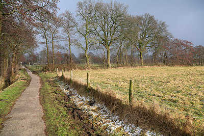BUITEN BEELD Foto: 218558