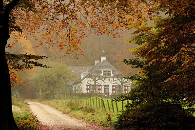 BUITEN BEELD Foto: 218566