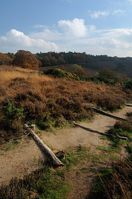 BUITEN BEELD Foto: 218568