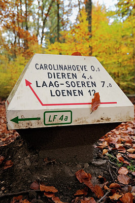 BUITEN BEELD Foto: 218571