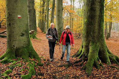 BUITEN BEELD Foto: 218575