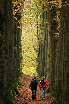 BUITEN BEELD Foto: 218576