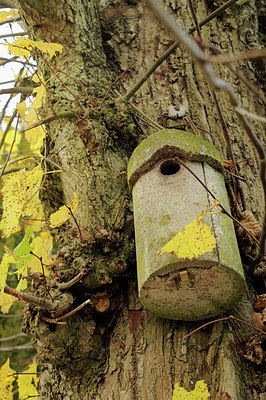 BUITEN BEELD Foto: 218579