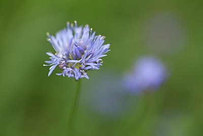 BUITEN BEELD Foto: 218594