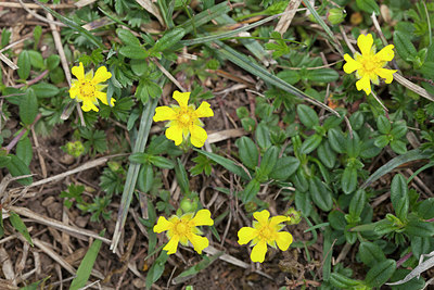 BUITEN BEELD Foto: 218595