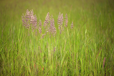 BUITEN BEELD Foto: 218598