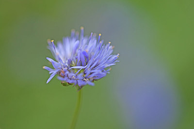 BUITEN BEELD Foto: 218615