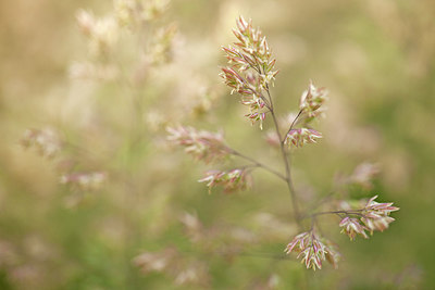 BUITEN BEELD Foto: 218616