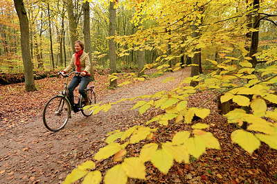 BUITEN BEELD Foto: 218637