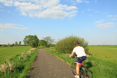BUITEN BEELD Foto: 218758