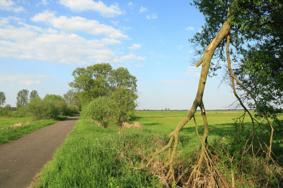 BUITEN BEELD Foto: 218759