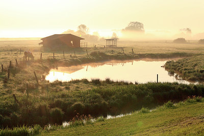 BUITEN BEELD Foto: 218764