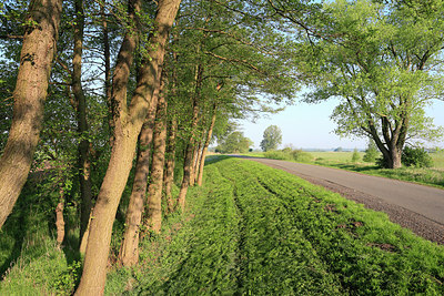 BUITEN BEELD Foto: 218768