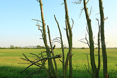 BUITEN BEELD Foto: 218770