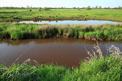 BUITEN BEELD Foto: 218771