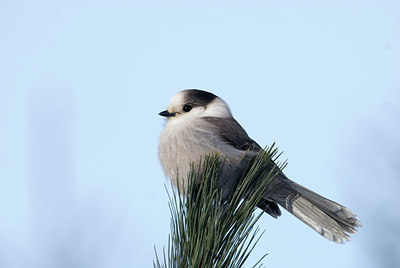 BUITEN BEELD Foto: 218810