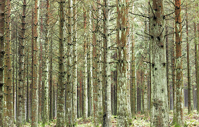 BUITEN BEELD Foto: 218844
