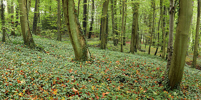 BUITEN BEELD Foto: 218852