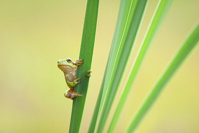 BUITEN BEELD Foto: 218890