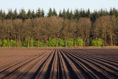 BUITEN BEELD Foto: 218895