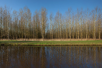 BUITEN BEELD Foto: 218896