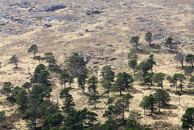 BUITEN BEELD Foto: 218967