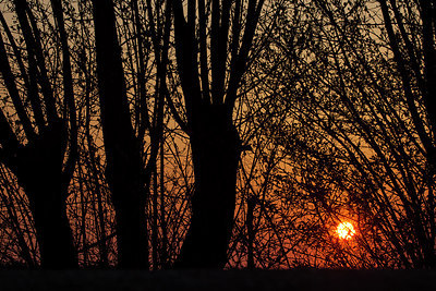 BUITEN BEELD Foto: 218982