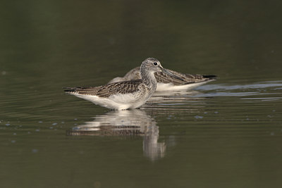 BUITEN BEELD Foto: 21002