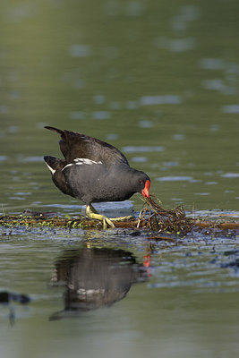 BUITEN BEELD Foto: 21018