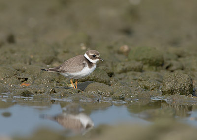 BUITEN BEELD Foto: 21023